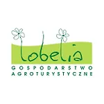 Lobelia Pomysk Wielki