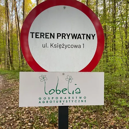 Lobelia Feriehus Pomysk Wielki