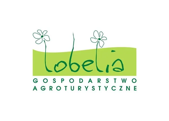 Lobelia Pomysk Wielki