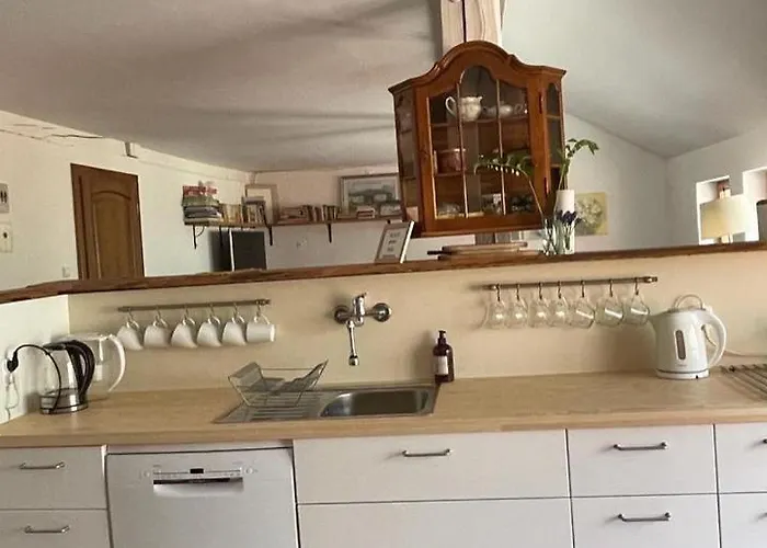 Lobelia Pomysk Wielki