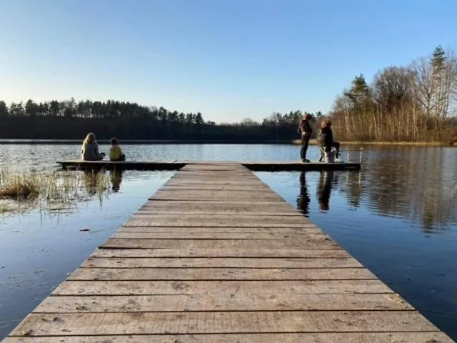 Lobelia * Pomysk Wielki